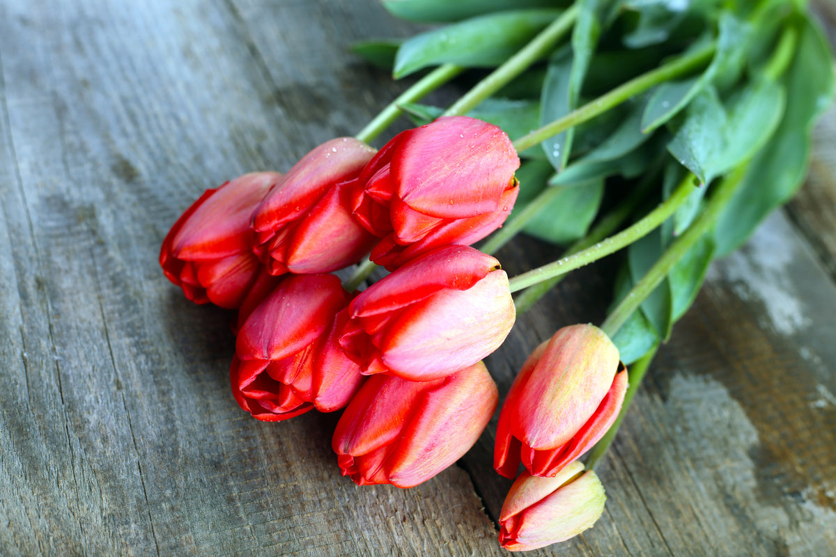 canvas-print-the-red-tulip-bouquet