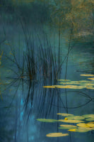 aluminium-print-aqua