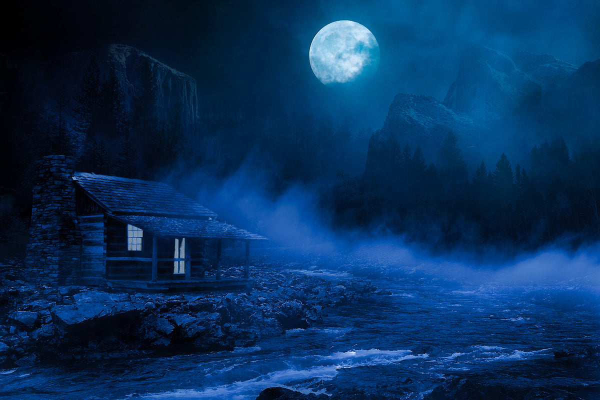 canvas-print-at-night-in-the-woods
