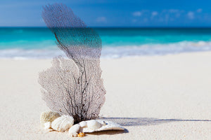3-piece-acrylic-print-beach-art