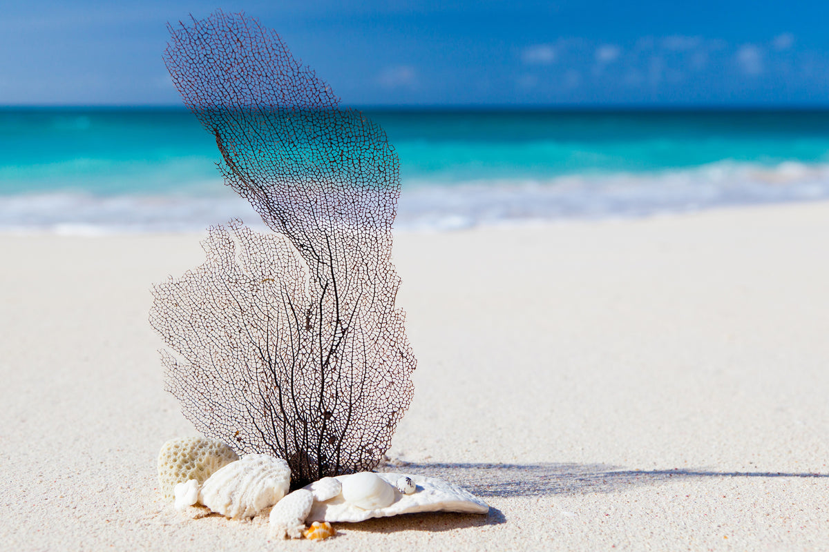 3-piece-acrylic-print-beach-art