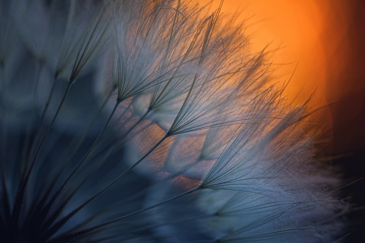 3-piece-acrylic-print-feathers-p