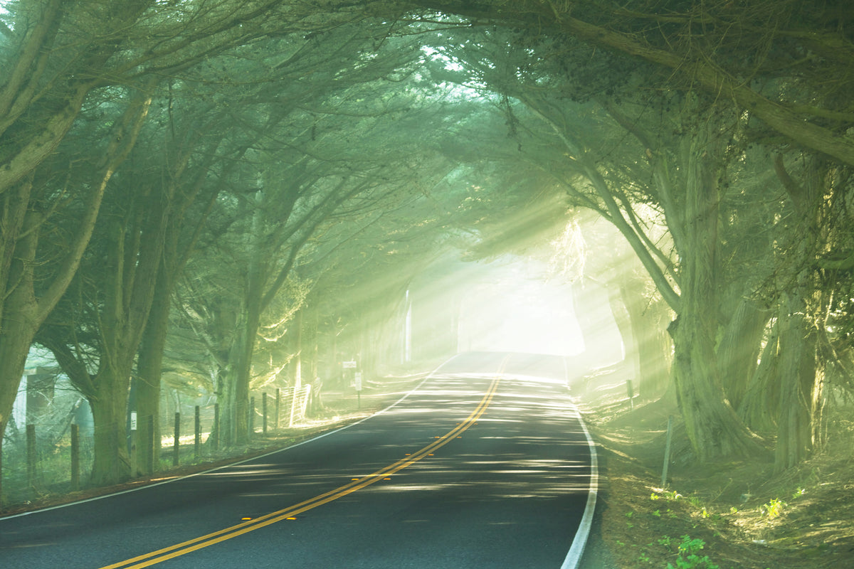 canvas-print-the-avenue