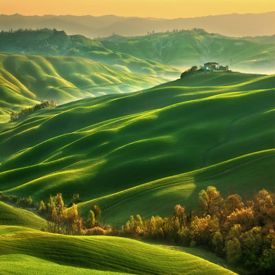 poster-print-mucigliani