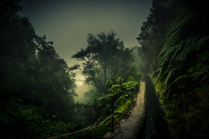 framedcanvas-print-levada-walk-x