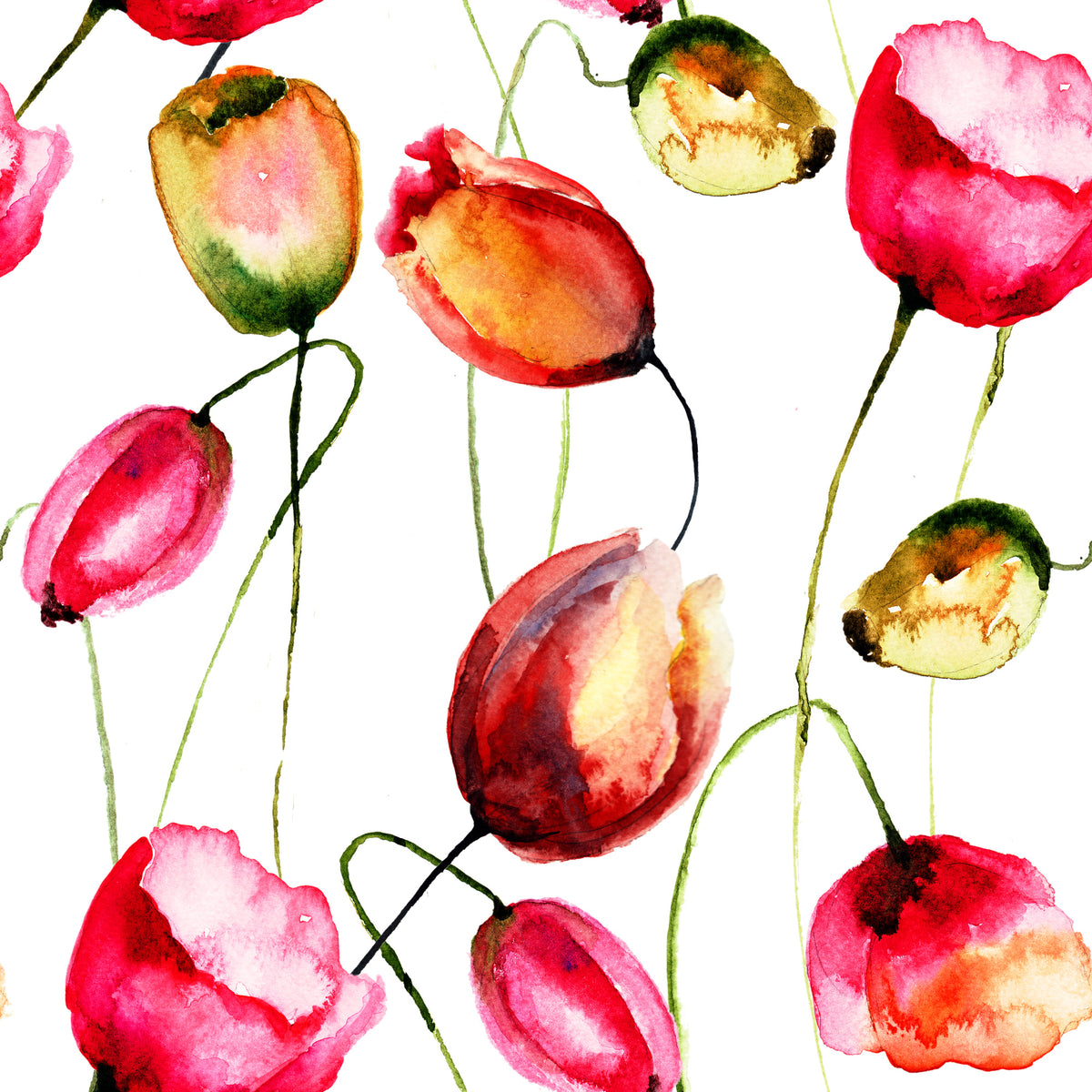 canvas-print-painting-the-tulips