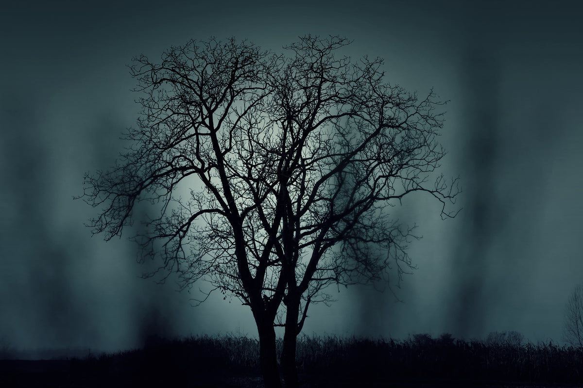 3-piece-acrylic-print-the-tree-in-darkness