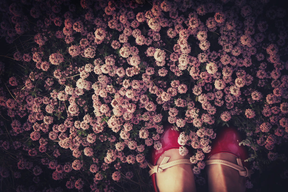 acrylic-print-thyme-carpet-x