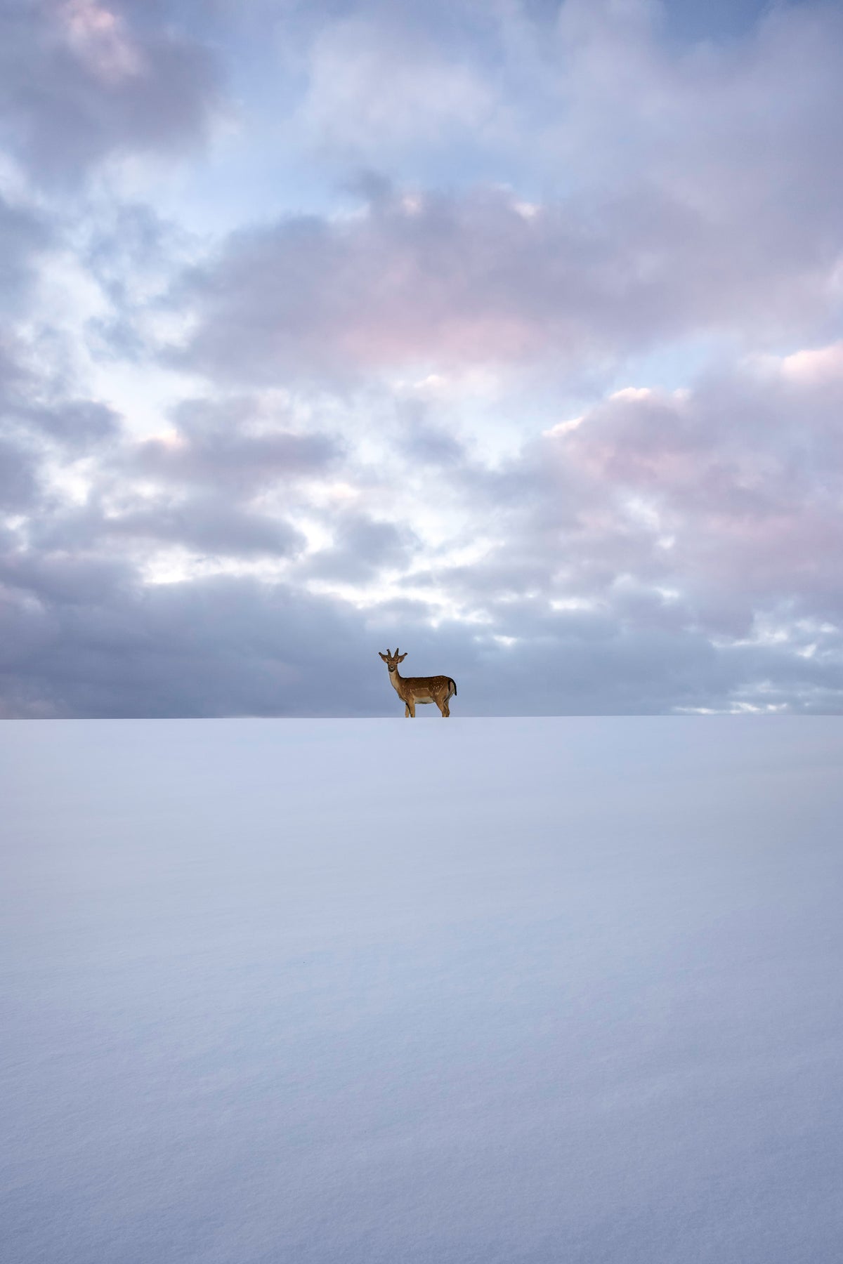 acrylic-print-alone