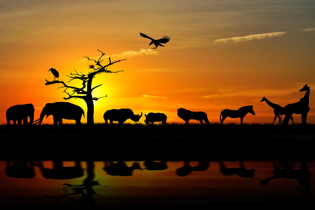 aluminium-print-safari-animals-at-sunset