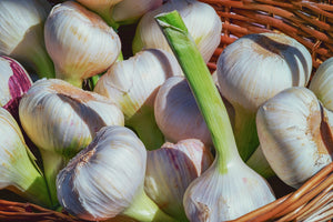 aluminium-print-fresh-garlic