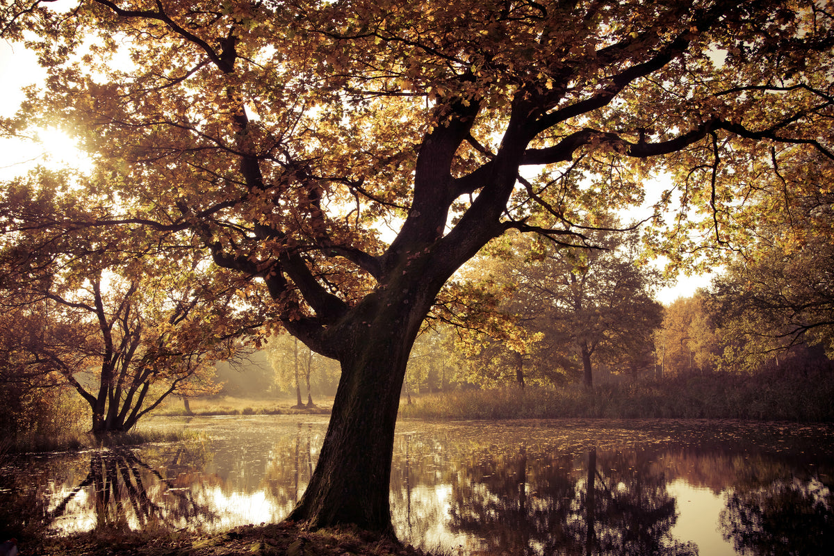 3-piece-aluminium-print-landscape-park