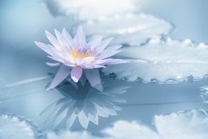 canvas-print-reflection-xbu