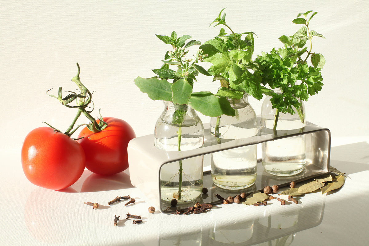3-piece-acrylic-print-tomatoes-and-herbs