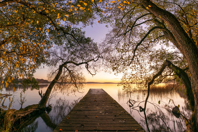 poster-print-autumn-xkt