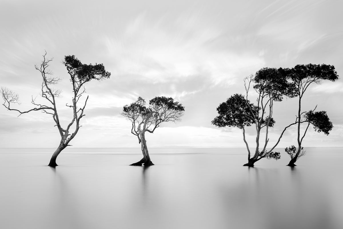 modern-3-piece-aluminium-print-drowning-not-waving