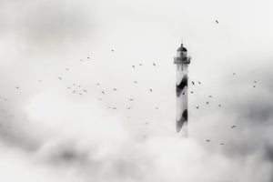 aluminium-print-the-fog
