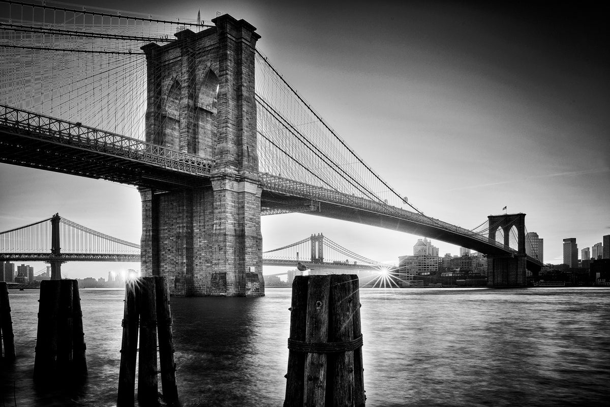 poster-print-brooklyn-bridge-sunrise-x