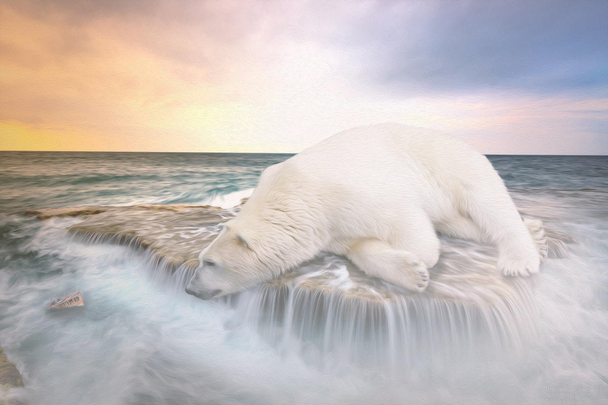 modern-3-piece-aluminium-print-the-polar-bear-and-the-sea