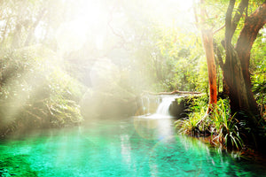 aluminium-print-the-green-lagoon
