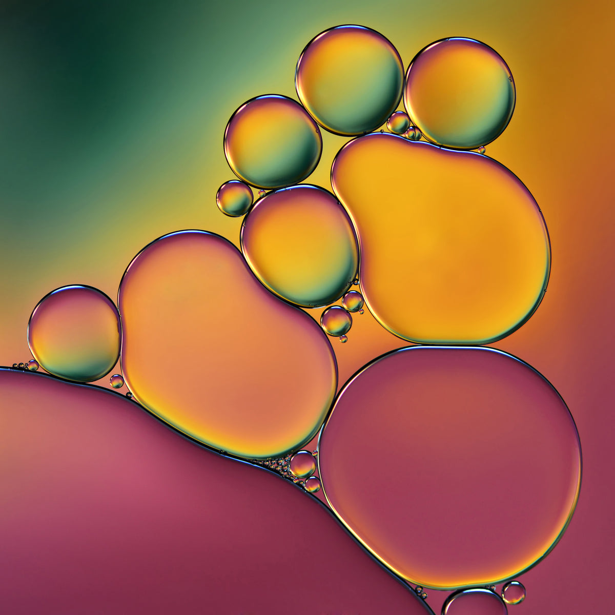 4-piece-aluminium-print-acrobats