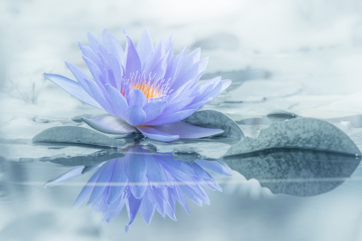 framedposter-print-reflection-xus