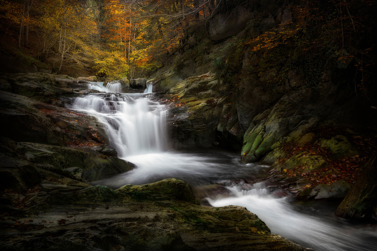 canvas-print-irati-jungle-x
