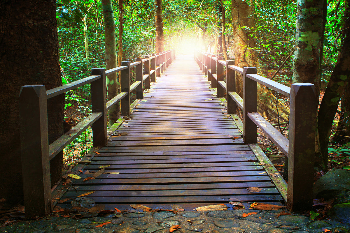 aluminium-print-the-bridge-in-the-forest