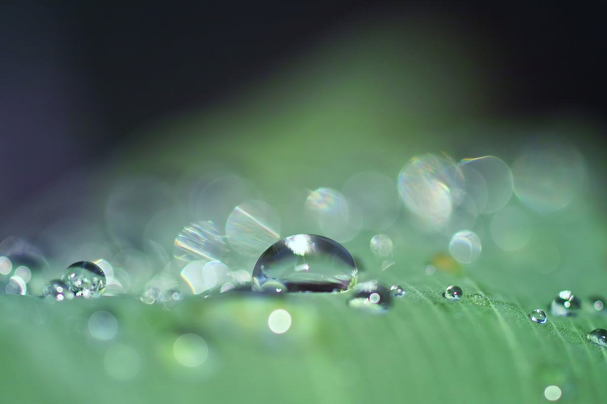 3-piece-acrylic-print-drops-of-water-in-xxl
