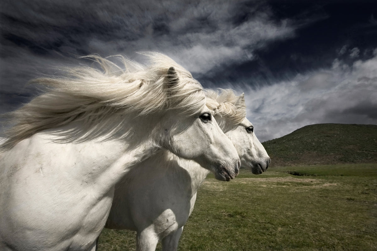 canvas-print-interplay