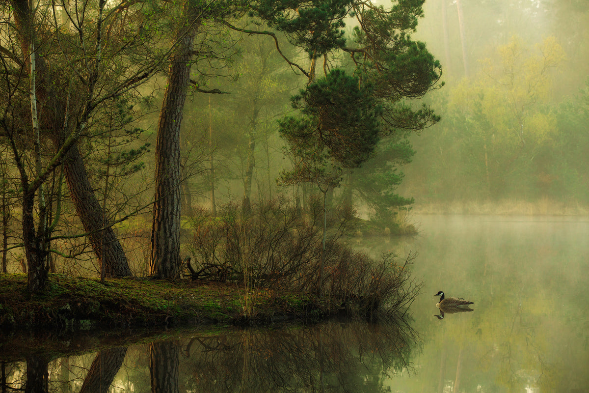 poster-print-mood-of-spring-x