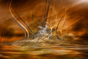 poster-print-the-rising-x