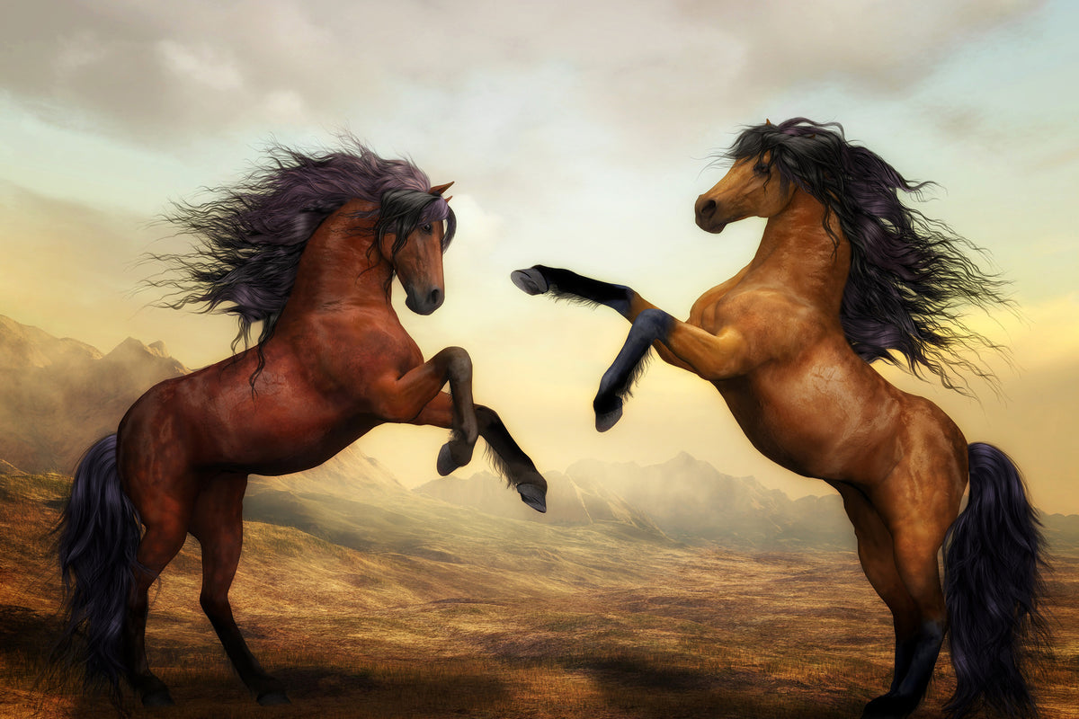 framedposter-print-two-wild-horses