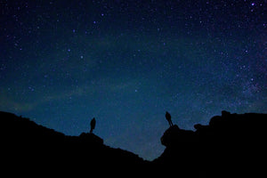 canvas-print-the-stargazers