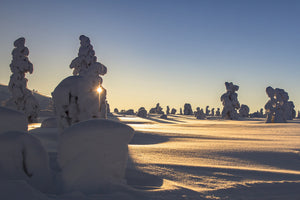 3-piece-acrylic-print-in-lapland