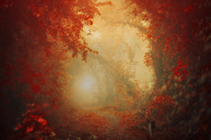 aluminium-print-personal-journey