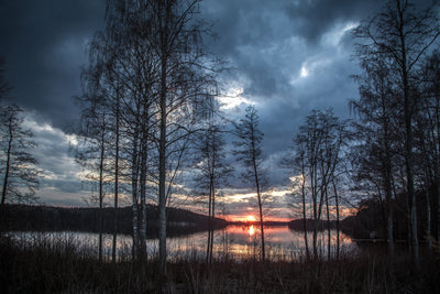 poster-print-trees-at-the-lake