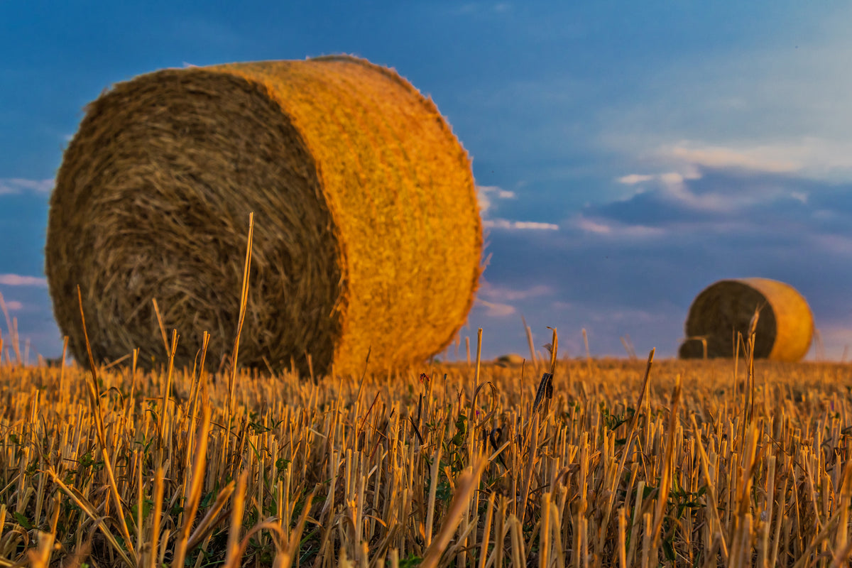 aluminium-print-straw-bales