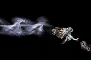 3-piece-aluminium-print-back-to-the-future