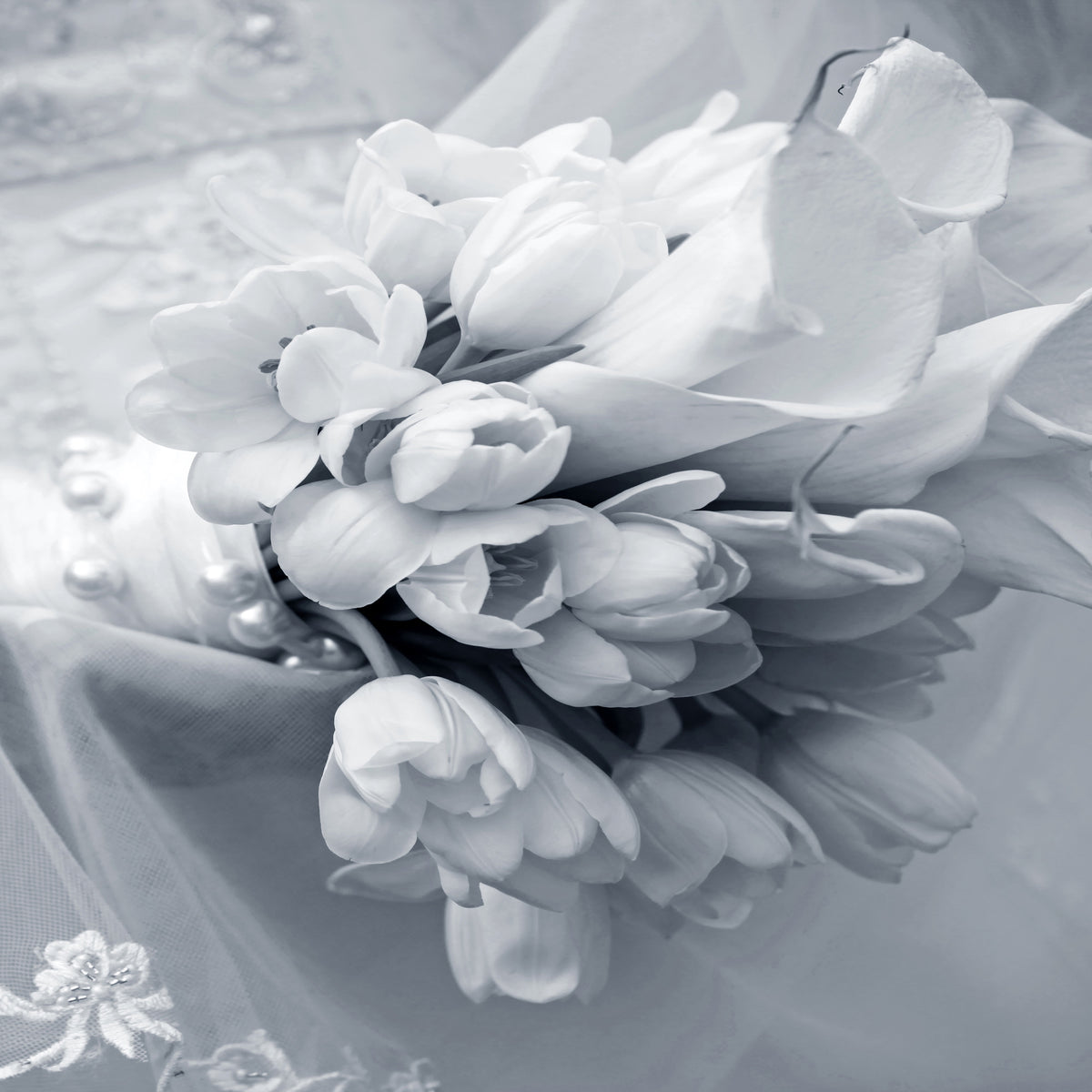 4-piece-aluminium-print-romantic-tulips-bouquet