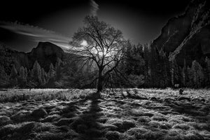 modern-3-piece-canvas-print-the-winter-spirit