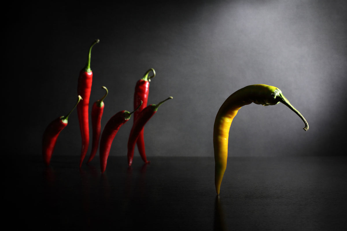 3-piece-acrylic-print-hit-the-road-jack