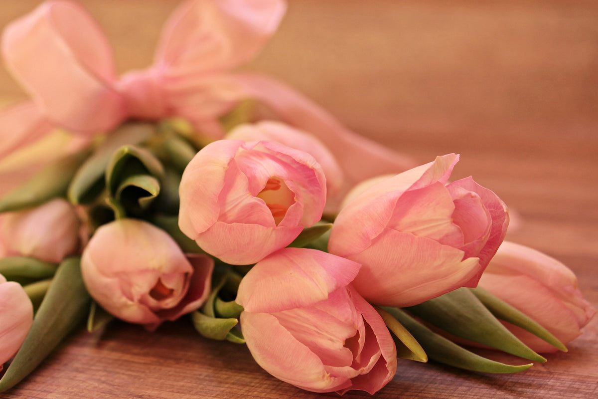 3-piece-aluminium-print-romantic-tulip-bouquet