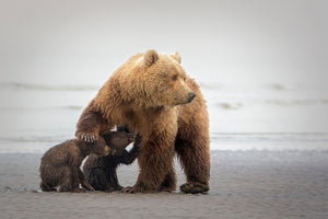 3-piece-canvas-print-family-time
