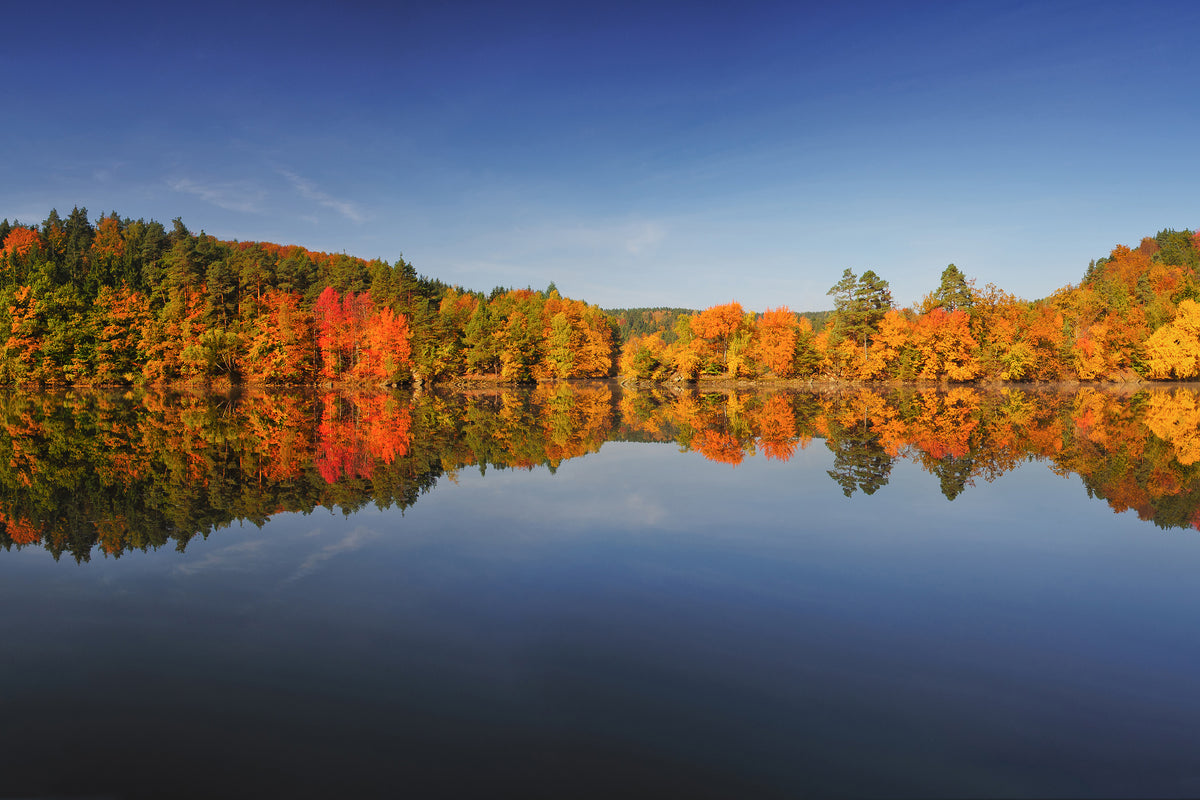modern-3-piece-aluminium-print-autumn-ii