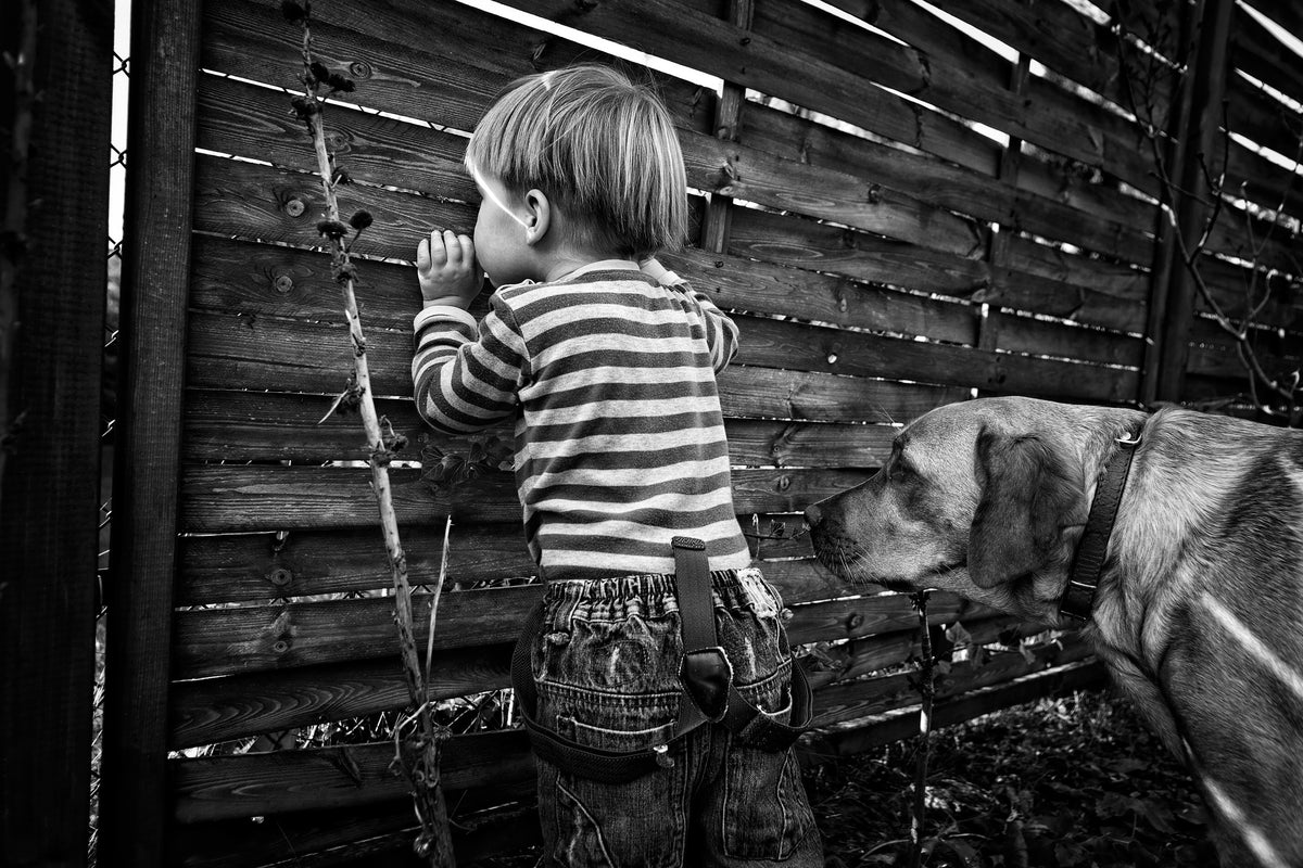 canvas-print-the-world-from-behind-the-fence-x