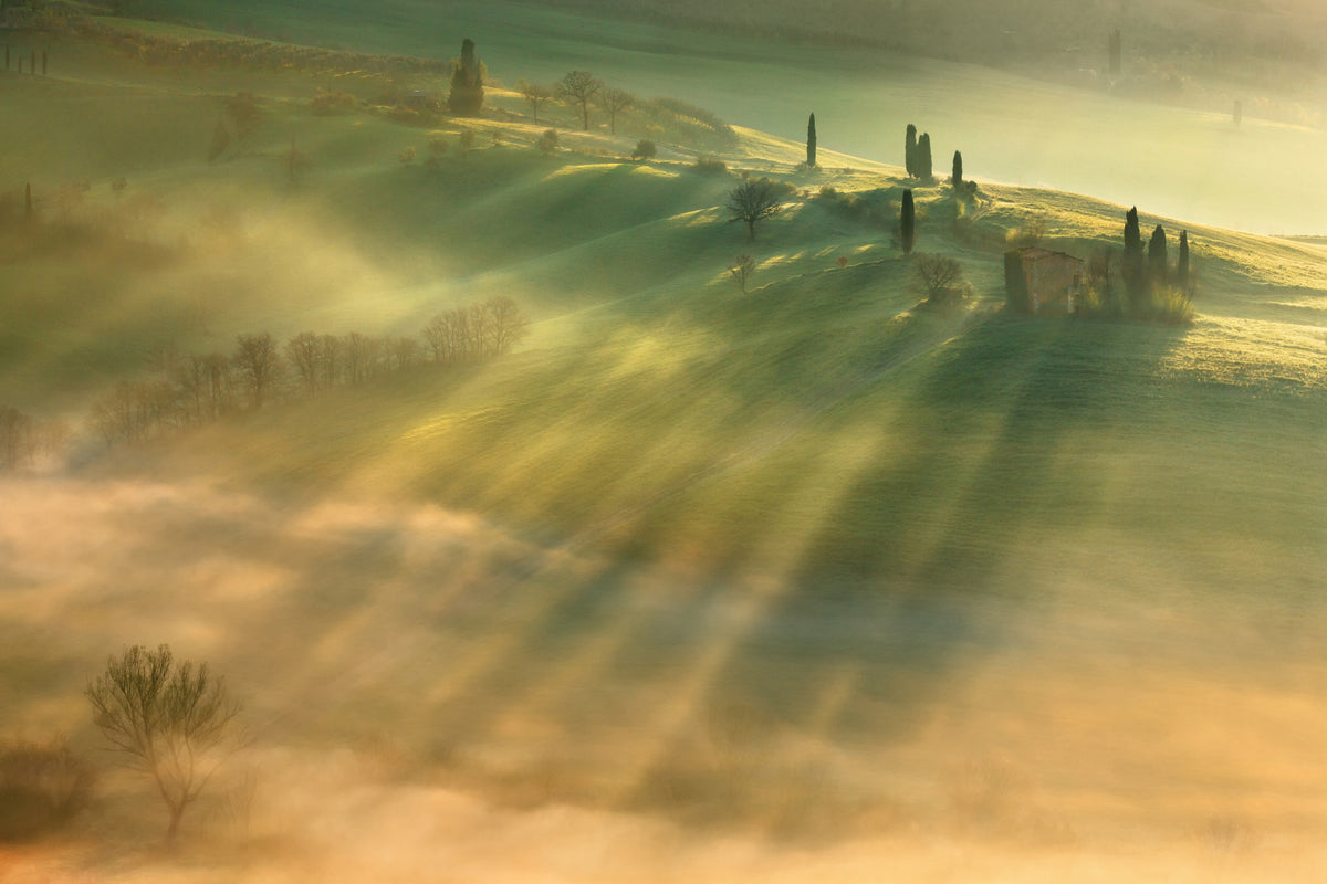 acrylic-print-mist-x