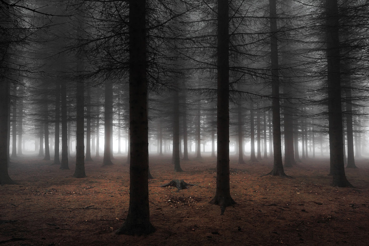 framedcanvas-print-silence-ii