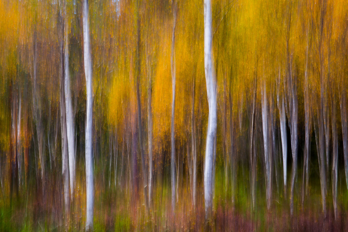 3-piece-aluminium-print-abstract-fall