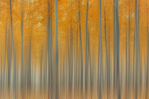 framedcanvas-print-autumn-delight-ii